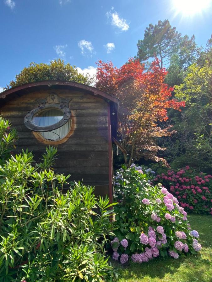 Bed and Breakfast Les Jardins De Mimizan Exterior foto